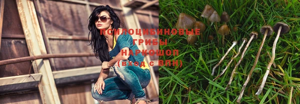 прущие крисы Михайловск